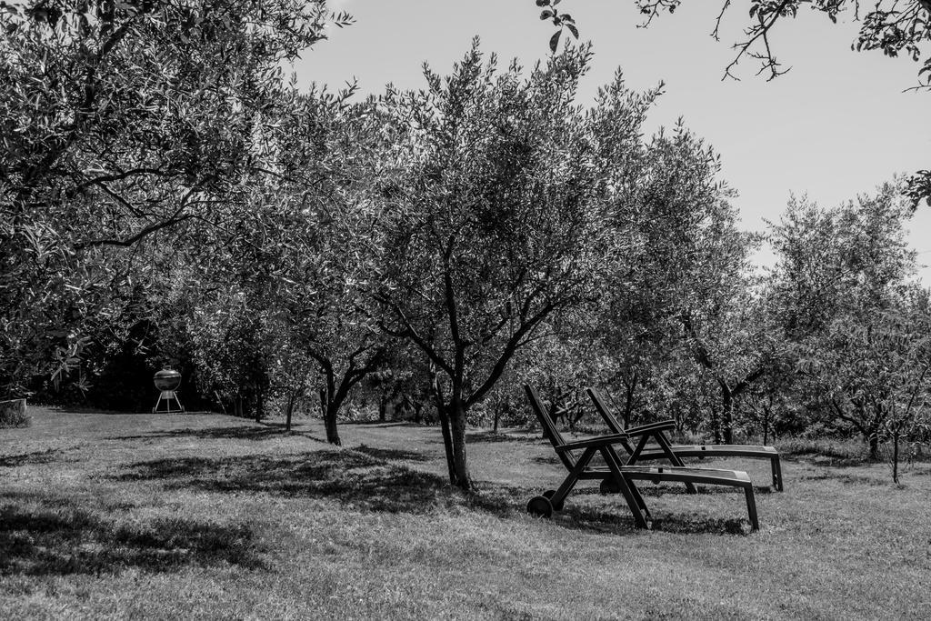 San Pelagio Terra Del Carso 빌라 외부 사진